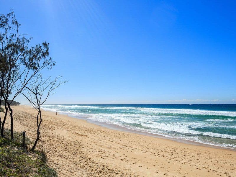 7 Watson Street, CURRIMUNDI QLD 4551, Currimundi - Thumbnail 6