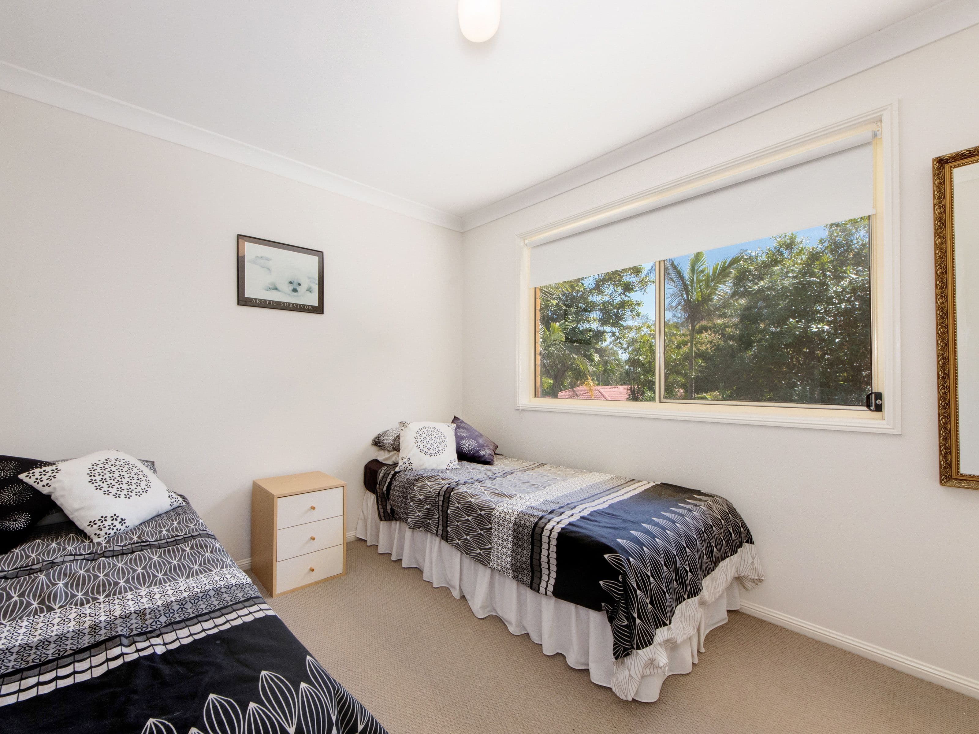 10 Hillgrove Court, Oxenford QLD 4210, Oxenford - Thumbnail 8