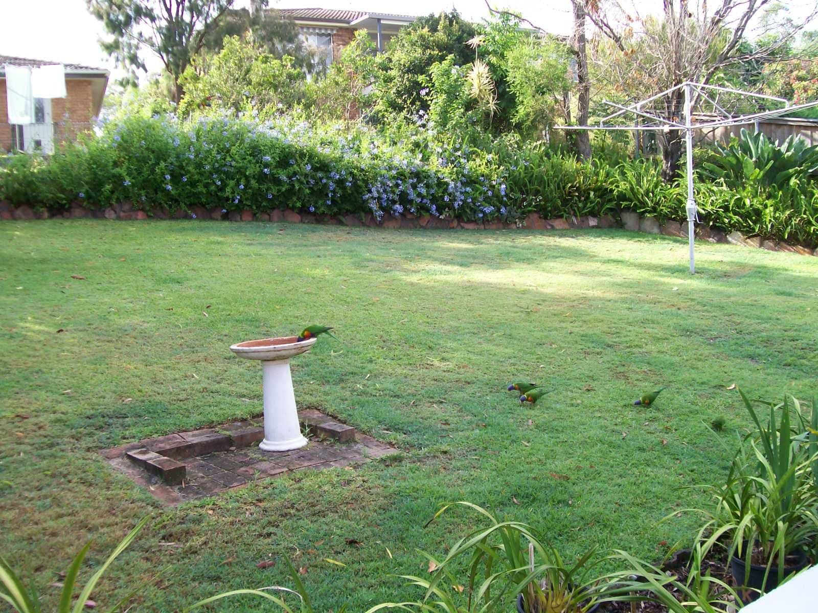 65 Sandy Point Road, Corlette - Thumbnail 8