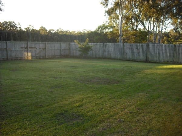 12 Seagull Court, DECEPTION BAY QLD 4508, Deception Bay - Thumbnail 3
