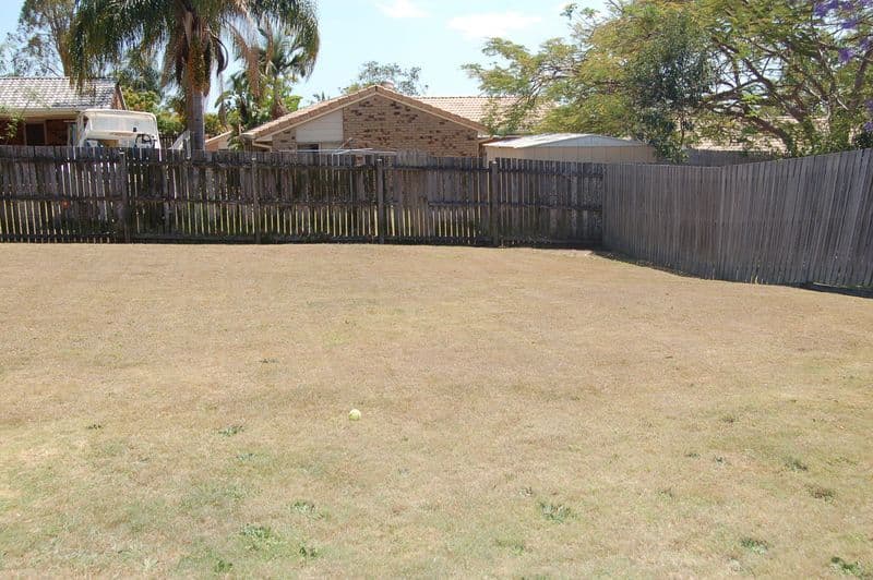 11 Wilkins Court, BORONIA HEIGHTS QLD 4124, Boronia Heights - Thumbnail 3