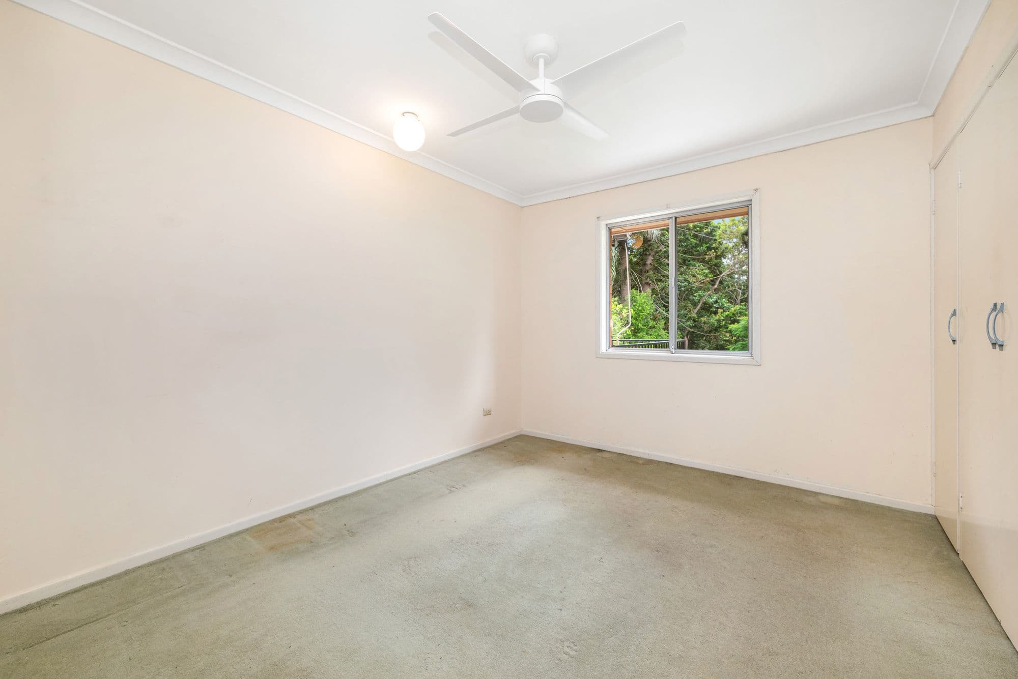 58 Granadilla Street, Macgregor QLD 4109, Macgregor - Thumbnail 8
