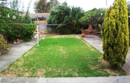238 Anzac Highway, PLYMPTON SA 5038, Plympton - Thumbnail 7