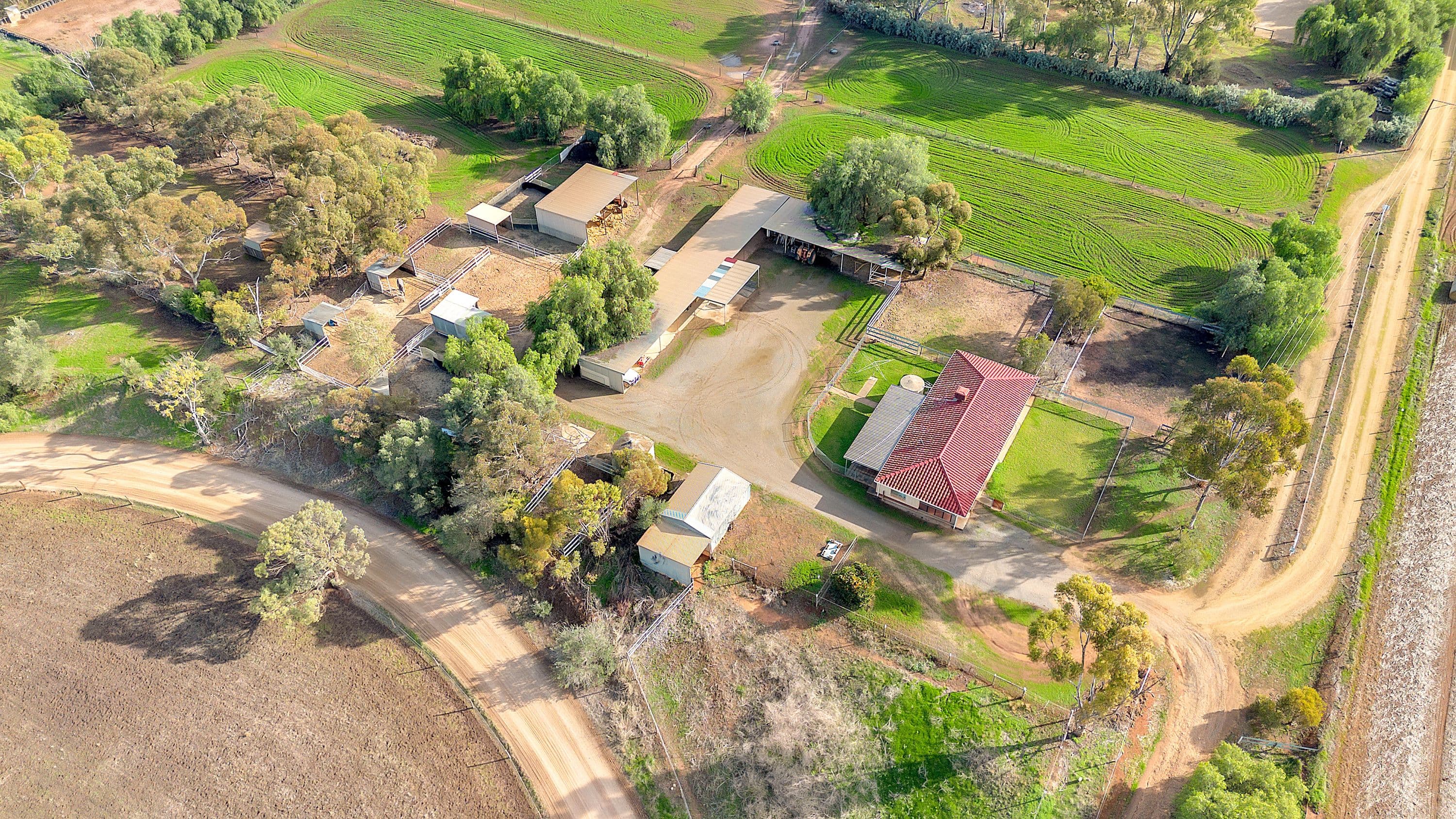 1900 Two Wells Road, Buchfelde SA 5118, Buchfelde - Thumbnail 4
