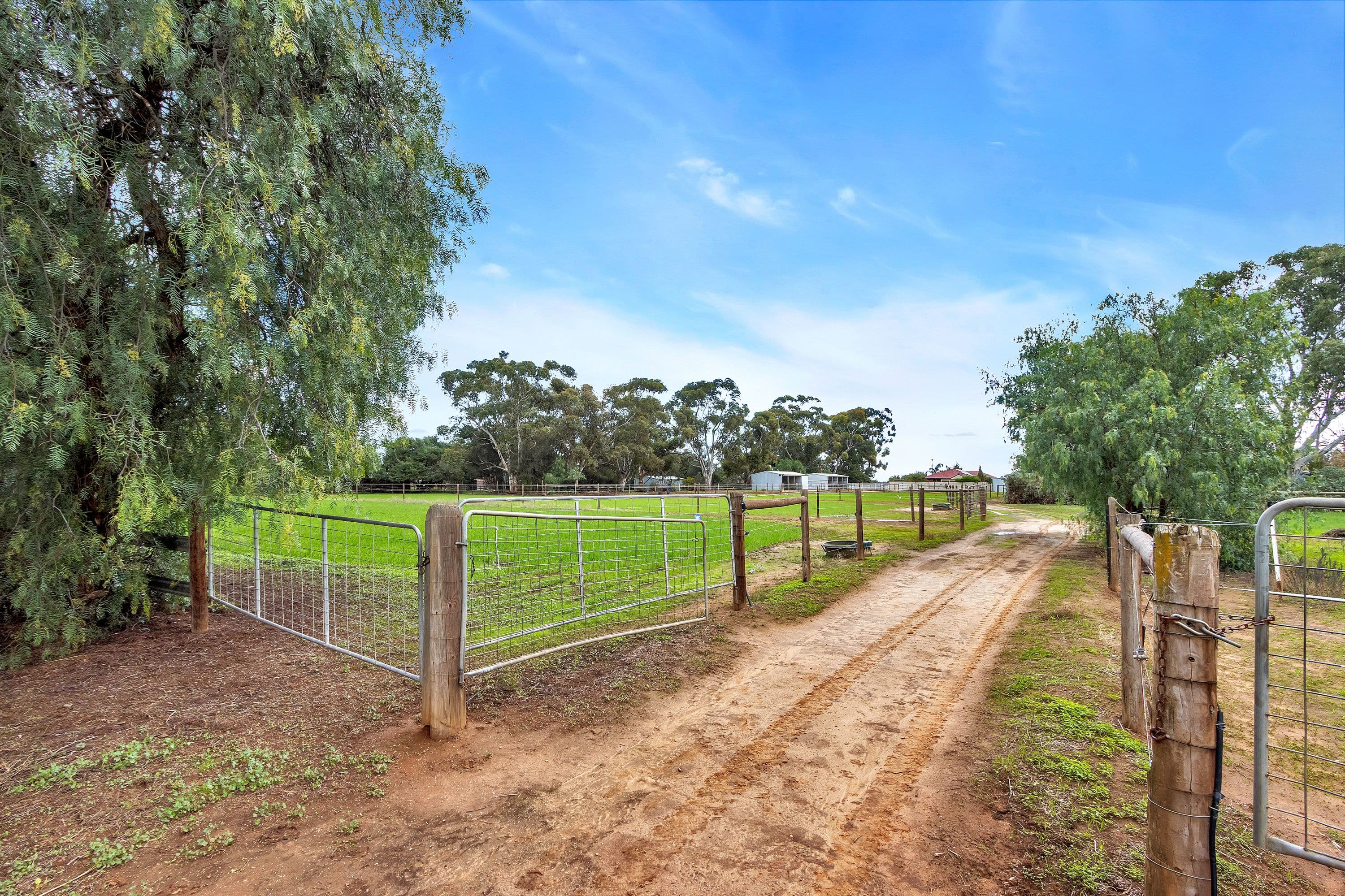 1900 Two Wells Road, Buchfelde SA 5118, Buchfelde - Thumbnail 6