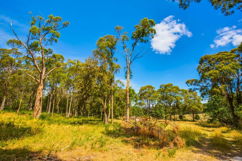 148 Freshwater Point Road, Legana TAS 7277, Legana - Thumbnail 4
