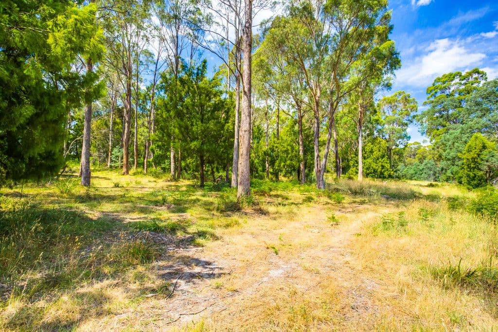 148 Freshwater Point Road, Legana TAS 7277, Legana - Thumbnail 6
