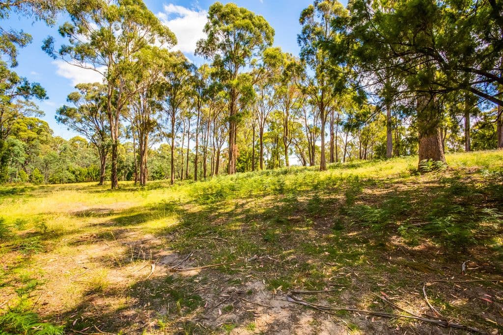 148 Freshwater Point Road, Legana TAS 7277, Legana - Thumbnail 7