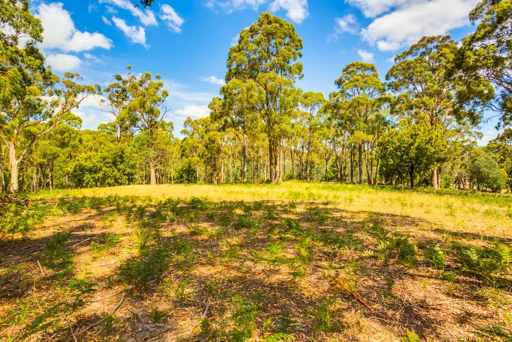 148 Freshwater Point Road, Legana TAS 7277, Legana - Thumbnail 8