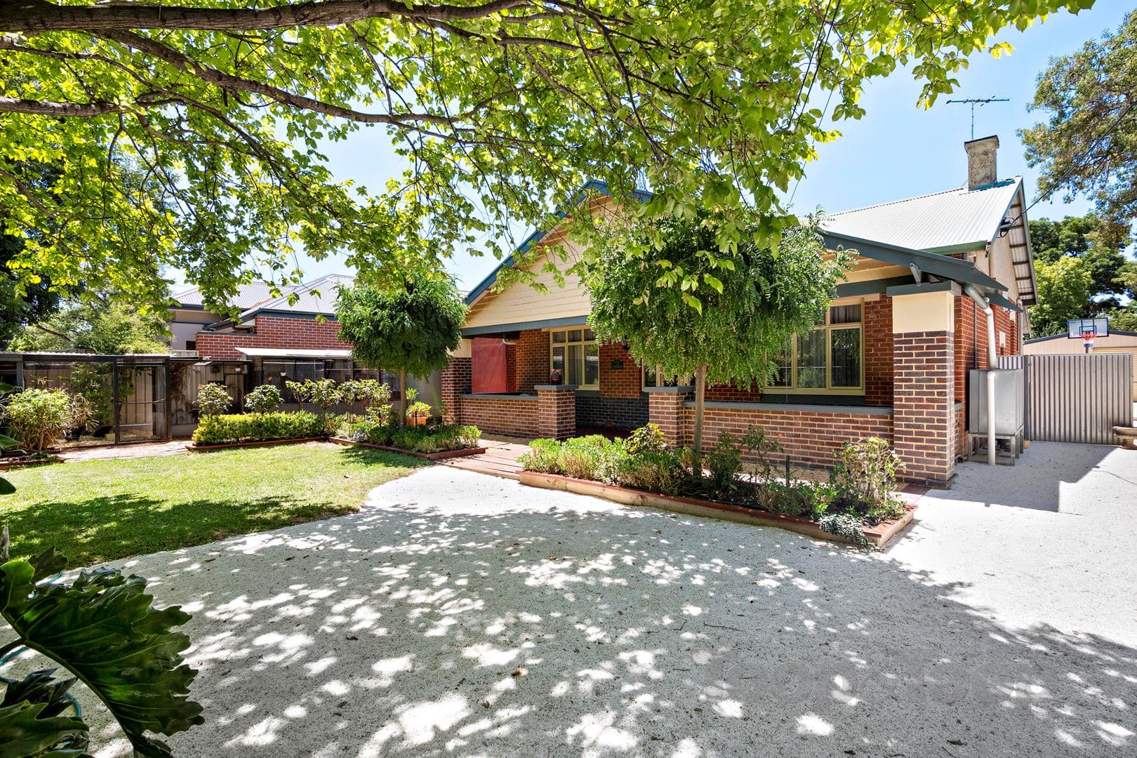 39 D'Erlanger Avenue, Collinswood SA 5081, Collinswood - Image 1