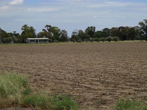 345 Walgett Road, Coonamble NSW 2829, Coonamble - Thumbnail 2