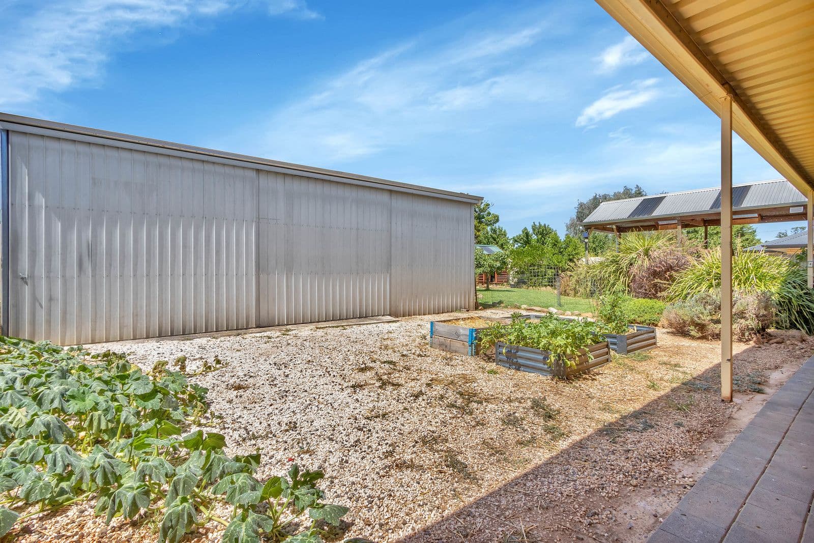 20 Mckenzie Road, Elizabeth Downs SA 5113, Elizabeth Downs - Thumbnail 4