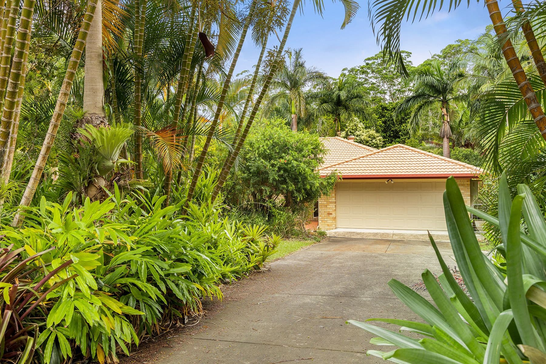 59 Orana Avenue, Pomona QLD 4568, Pomona - Thumbnail 2