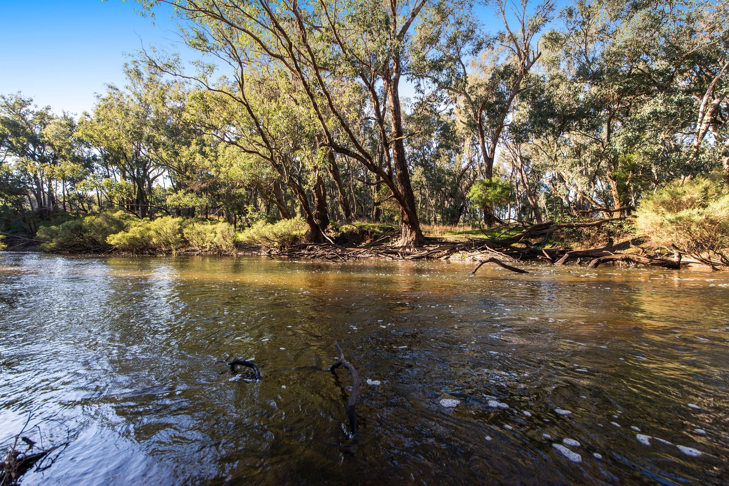 Lot 5399 Brockman Highway, Nannup WA 6275, Nannup - Thumbnail 2