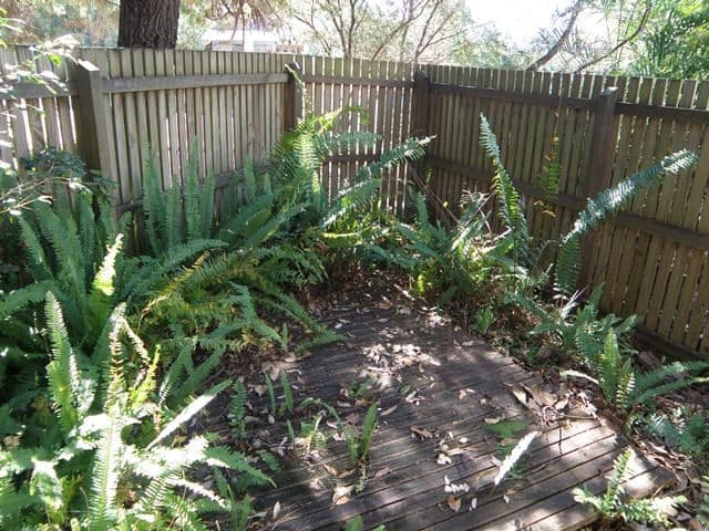 44 Orealla Crescent, SUNRISE BEACH QLD 4567, Sunrise Beach - Thumbnail 5