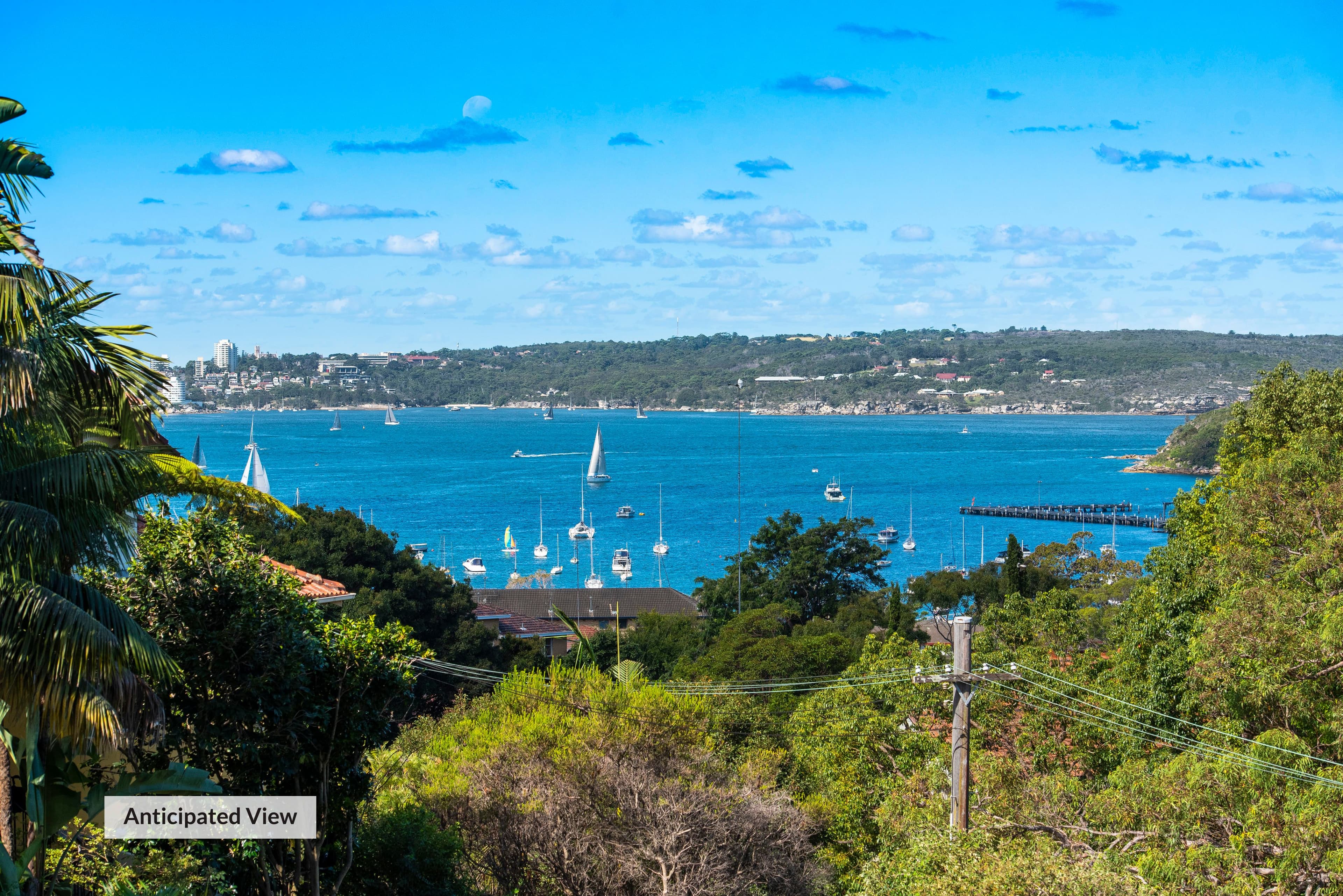 216 Raglan Street, Mosman - Thumbnail 4