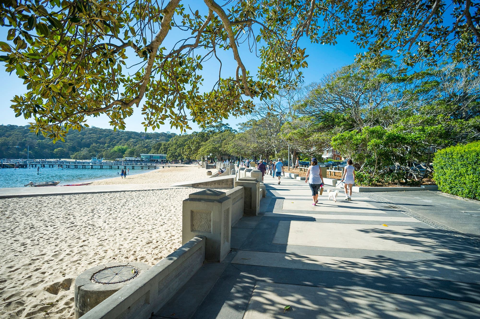 216 Raglan Street, Mosman - Thumbnail 7