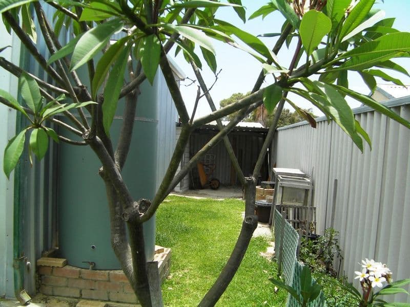 13  Craig Way, LANCELIN WA 6044, Lancelin - Thumbnail 7