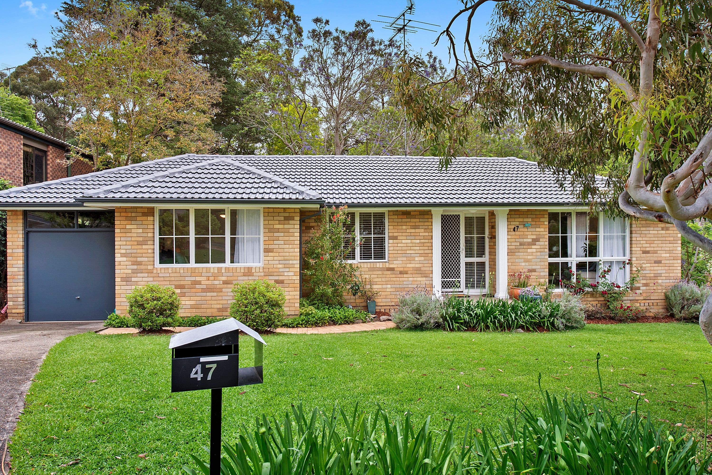47 Woodbine Avenue, Normanhurst - Image 1