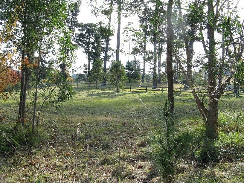 35 Yean Street, BURRADOO NSW 2576, Burradoo - Thumbnail 4