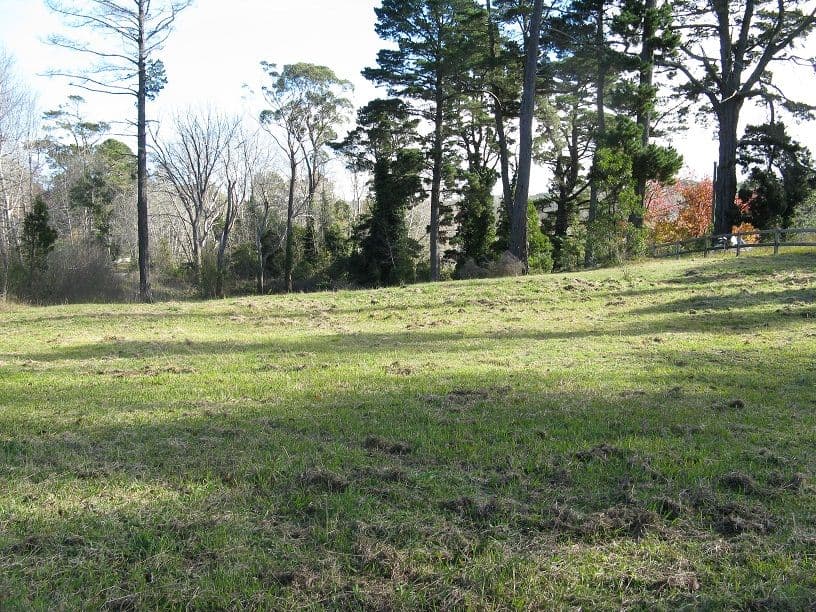 35 Yean Street, BURRADOO NSW 2576, Burradoo - Thumbnail 5