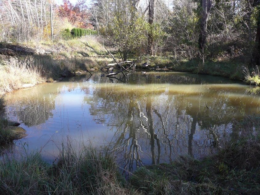 35 Yean Street, BURRADOO NSW 2576, Burradoo - Thumbnail 6
