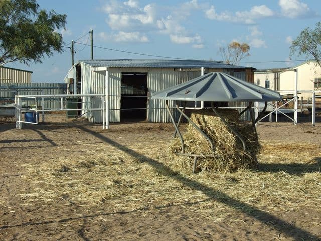 11A Bedford Street, BLACKALL QLD 4472, Blackall - Thumbnail 3