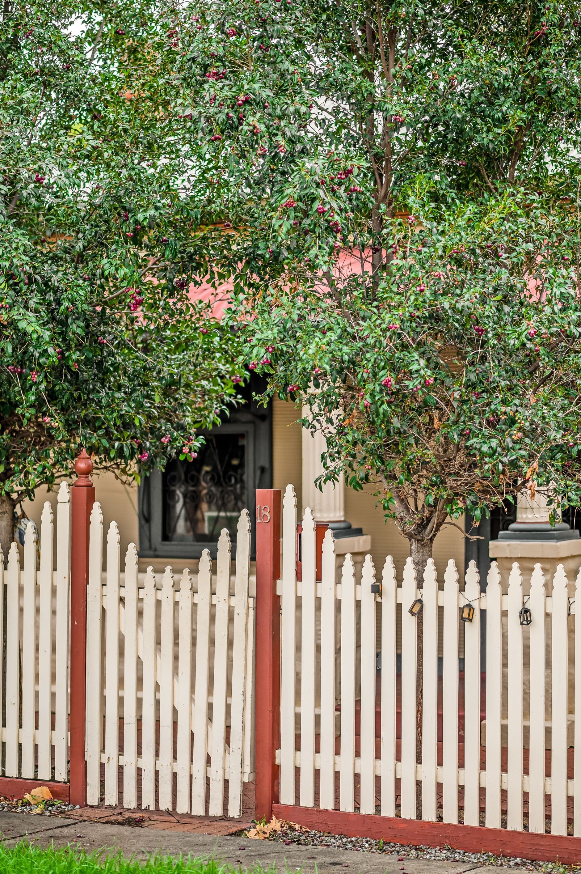18 Rosetta Street, Glanville SA 5015, Glanville - Thumbnail 2