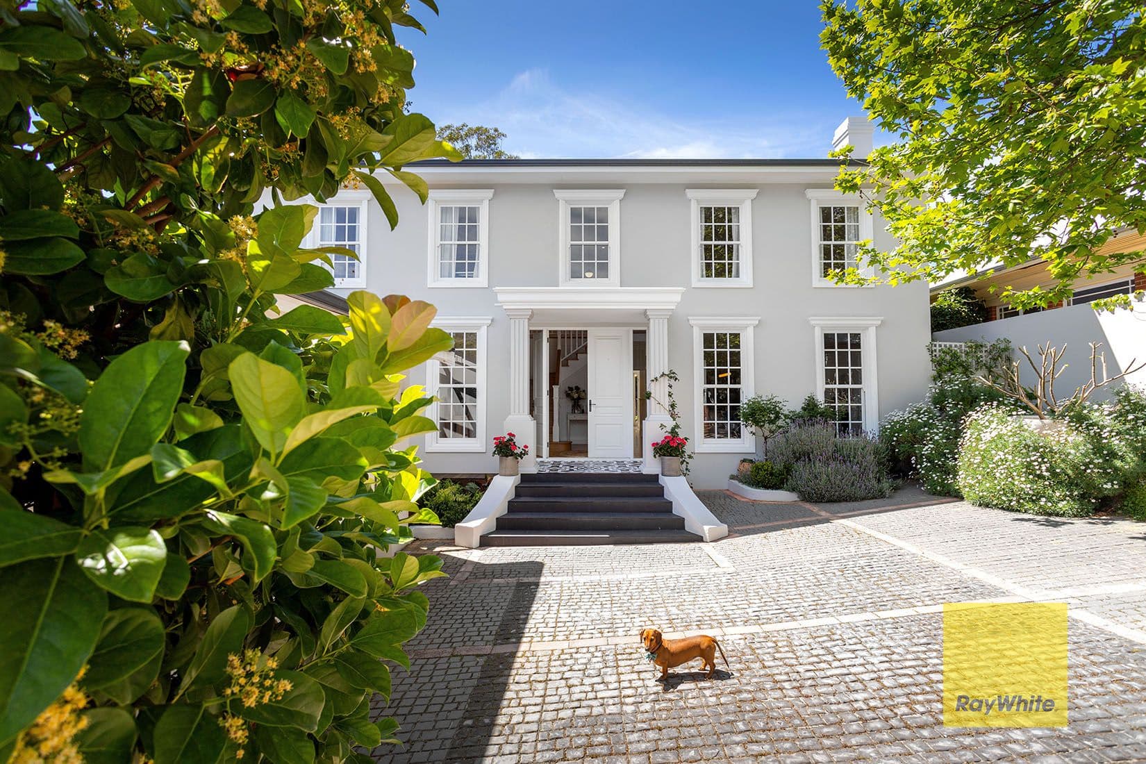 5 Briggs Street, Mosman Park WA 6012, Mosman Park - Thumbnail 5