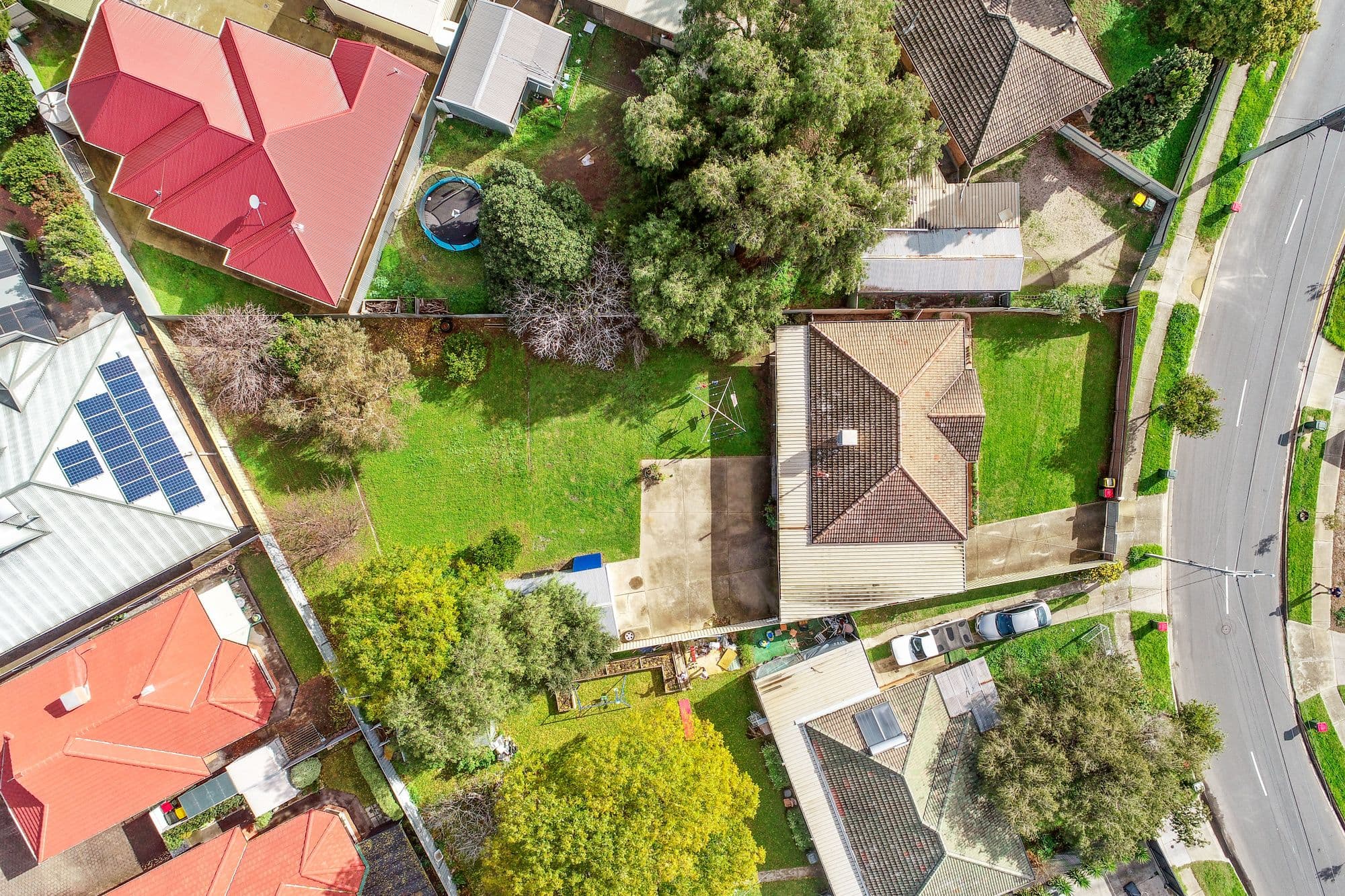 1 Bert Street, Modbury SA 5092, Modbury - Thumbnail 3