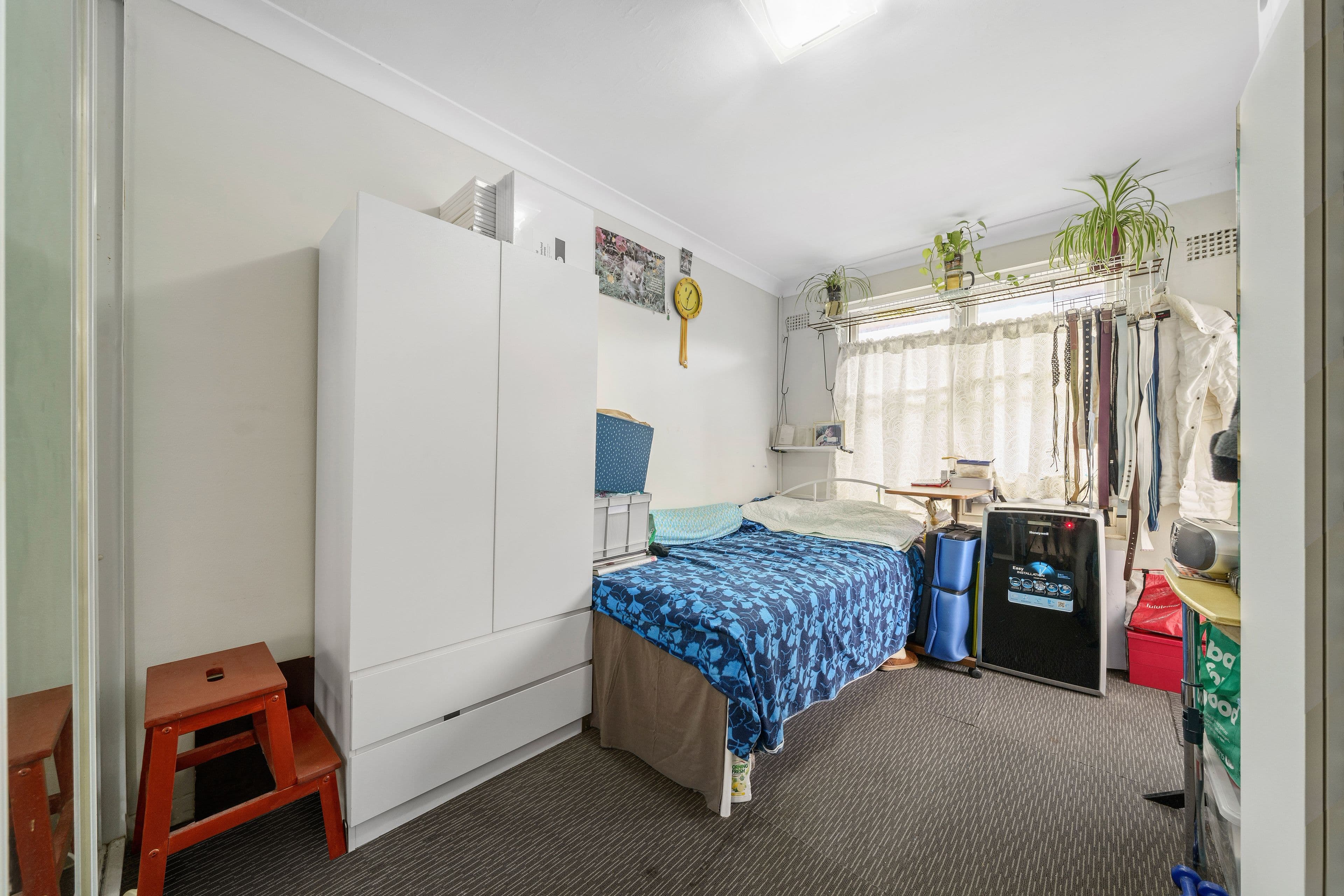17 Alice Street North, Wiley Park NSW 2195, Wiley Park - Thumbnail 6