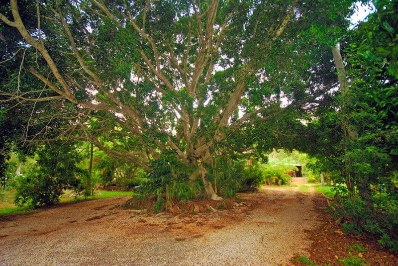 50 Naomi Drive, YEPPOON QLD 4703, Yeppoon - Thumbnail 6