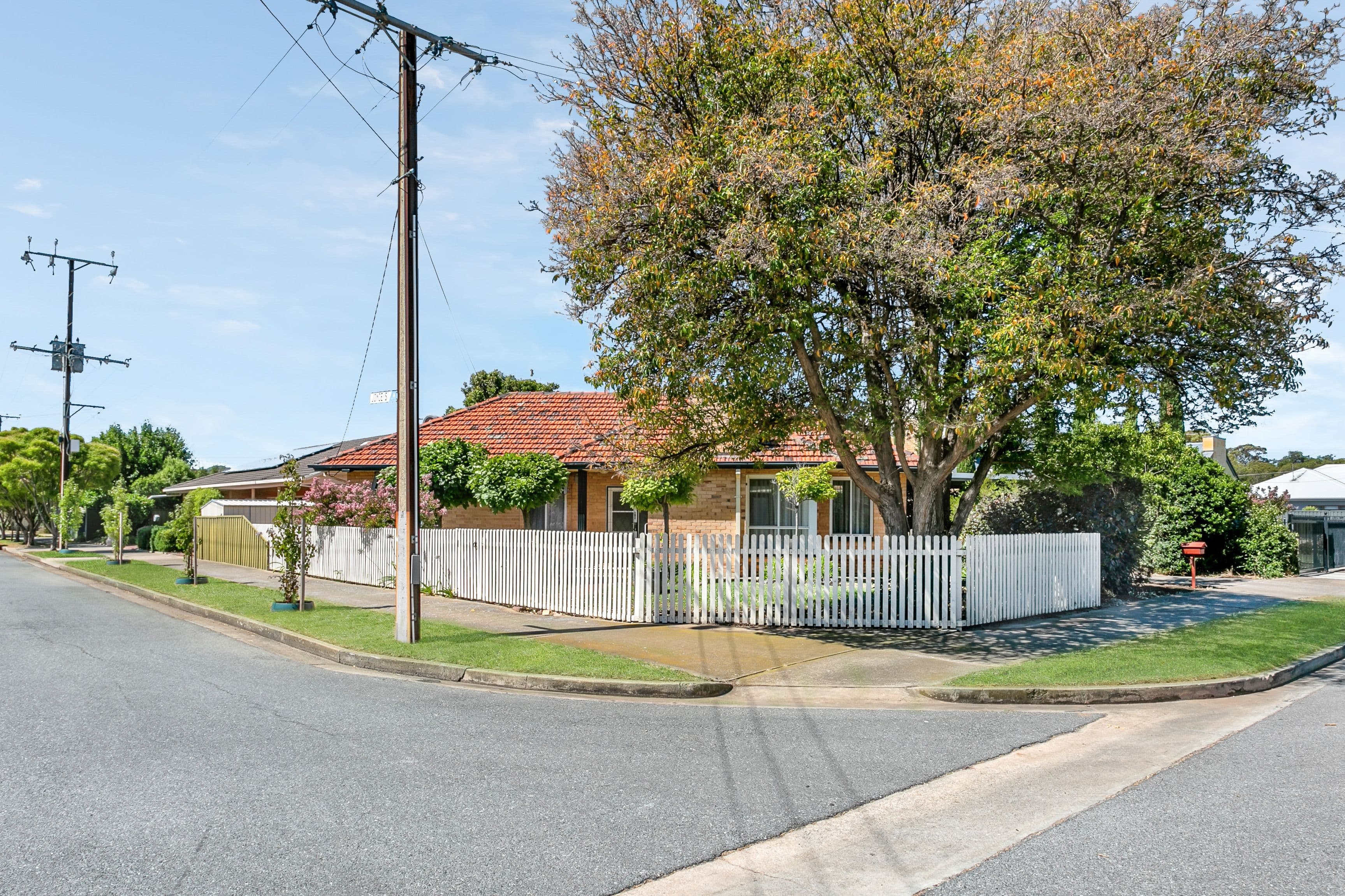 47 Frederick Street, Glengowrie SA 5044, Glengowrie - Thumbnail 3