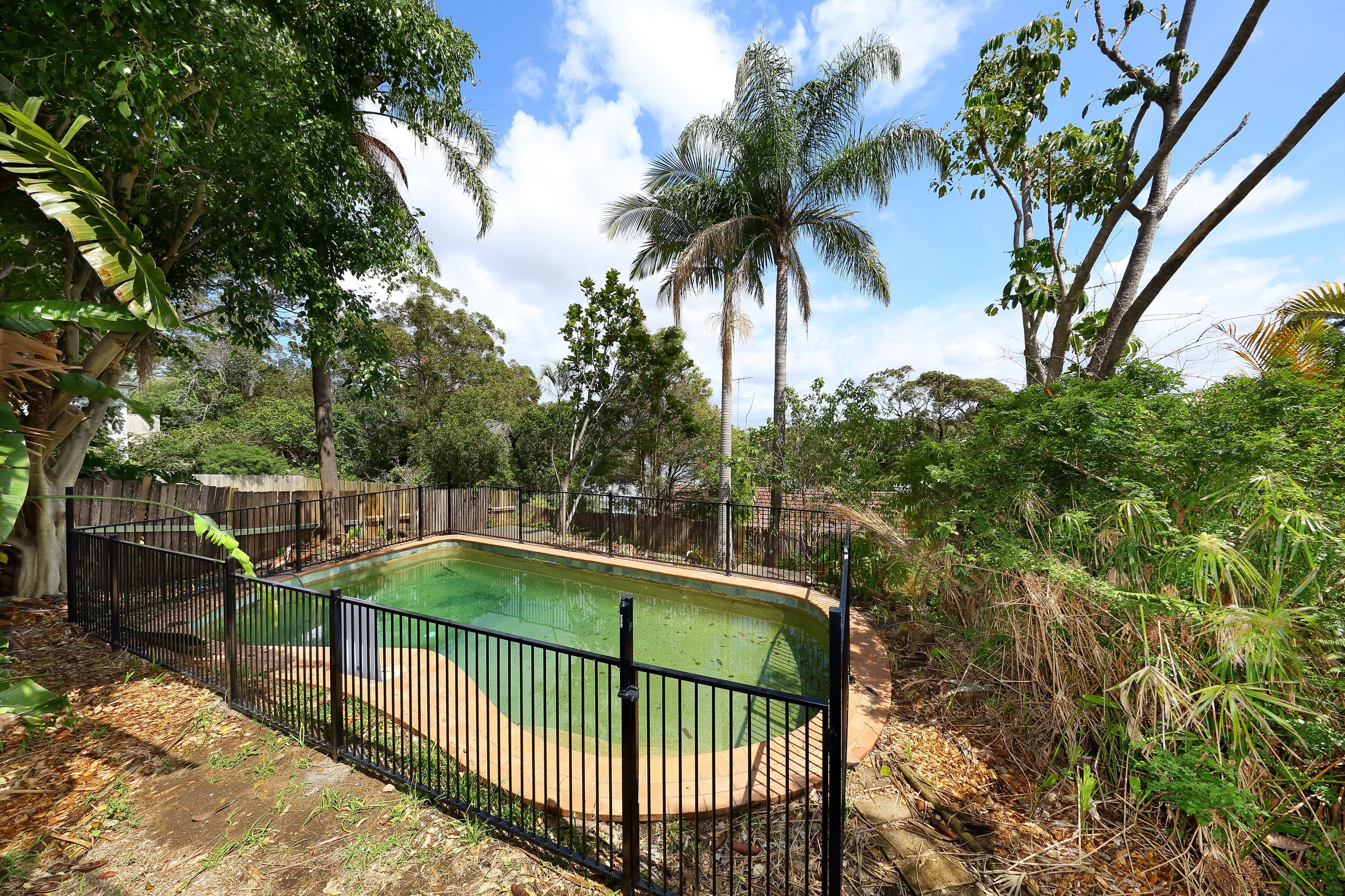 37 Boronia Street, Kyle Bay - Thumbnail 7