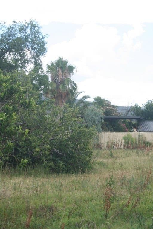 4 Lanagans Lane, Bingara NSW 2404, Bingara - Thumbnail 3