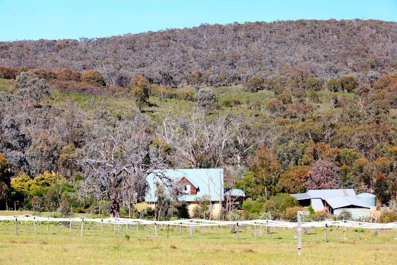 67 (Lot 58) Youngs Lane, HEATHCOTE VIC 3523, Heathcote - Thumbnail 4