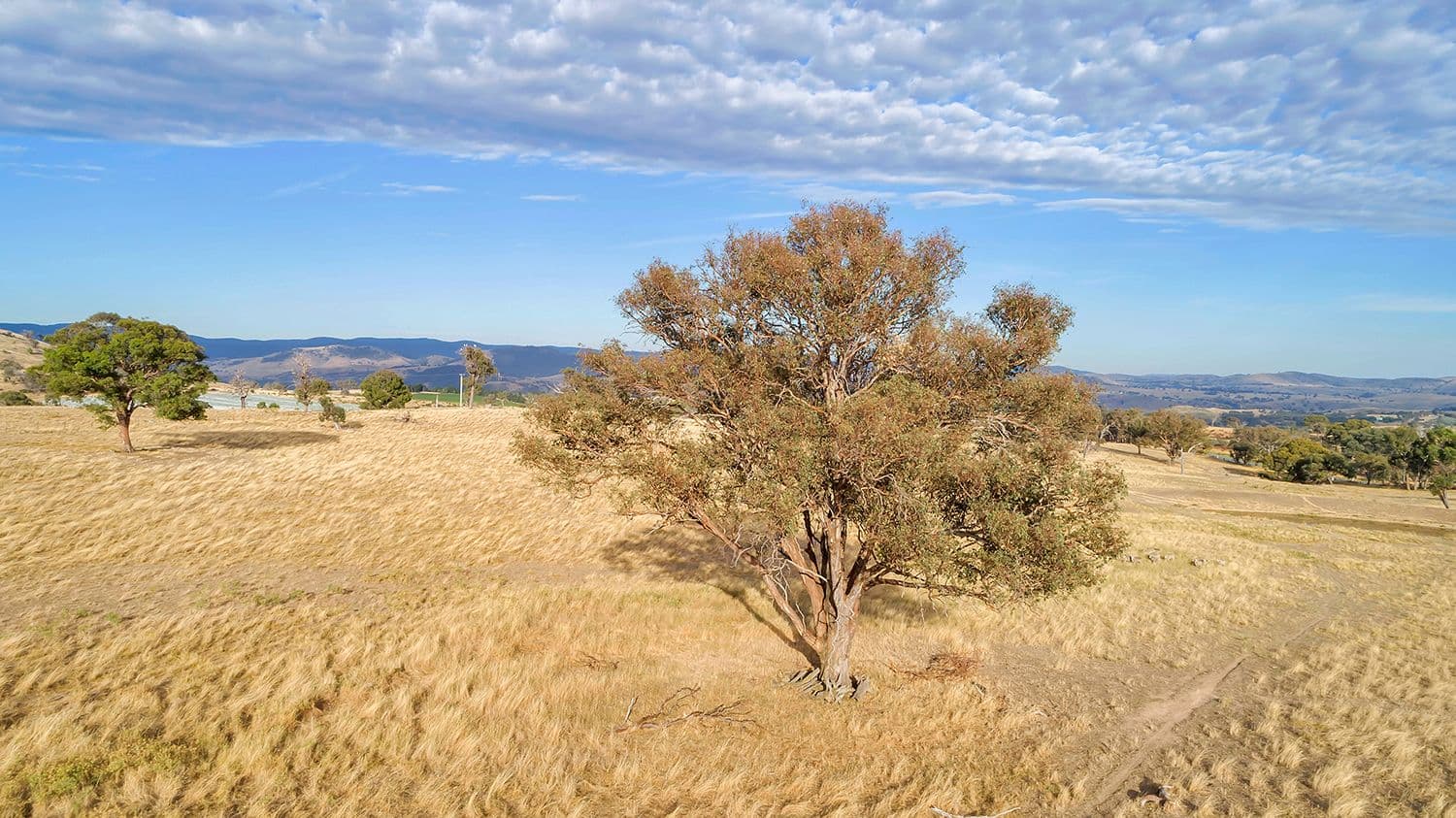 Lot 2, 51 Brooklands Road, Wallaroo NSW 2618, Wallaroo - Thumbnail 8