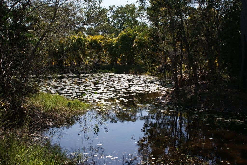137 Josefski Road, Agnes Water QLD 4677, Agnes Water - Thumbnail 4