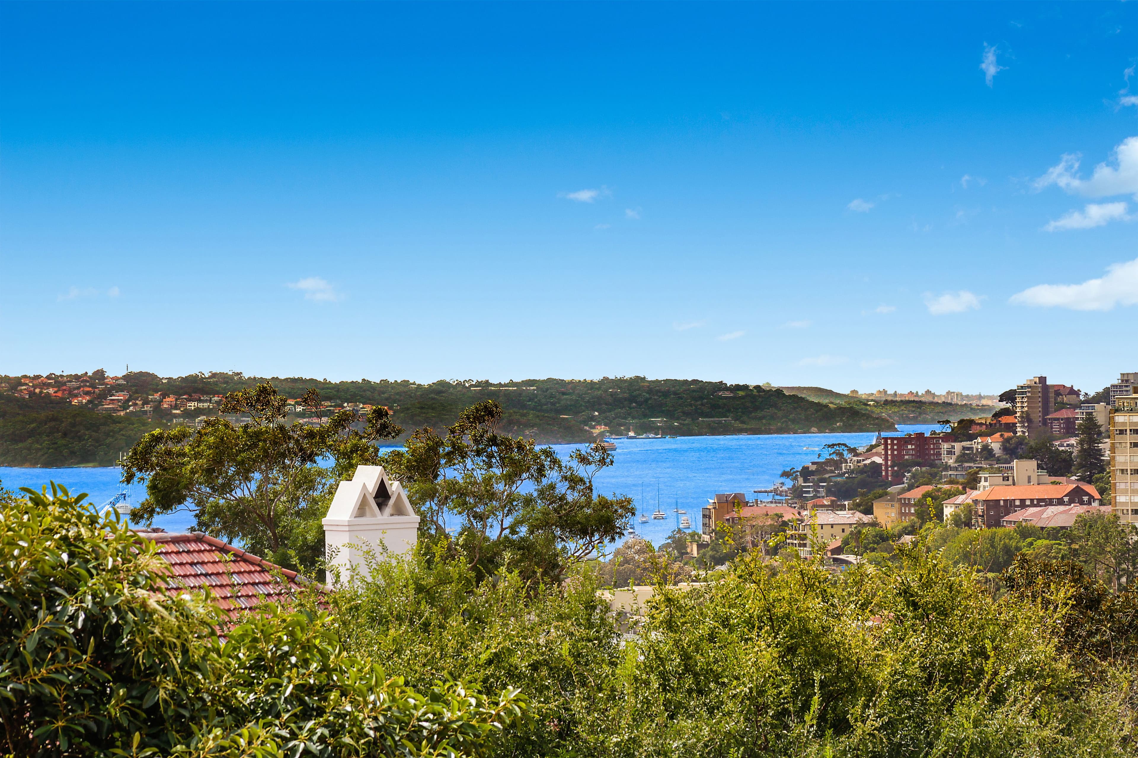 321 Edgecliff Road, Woollahra NSW 2025, Woollahra - Image 1