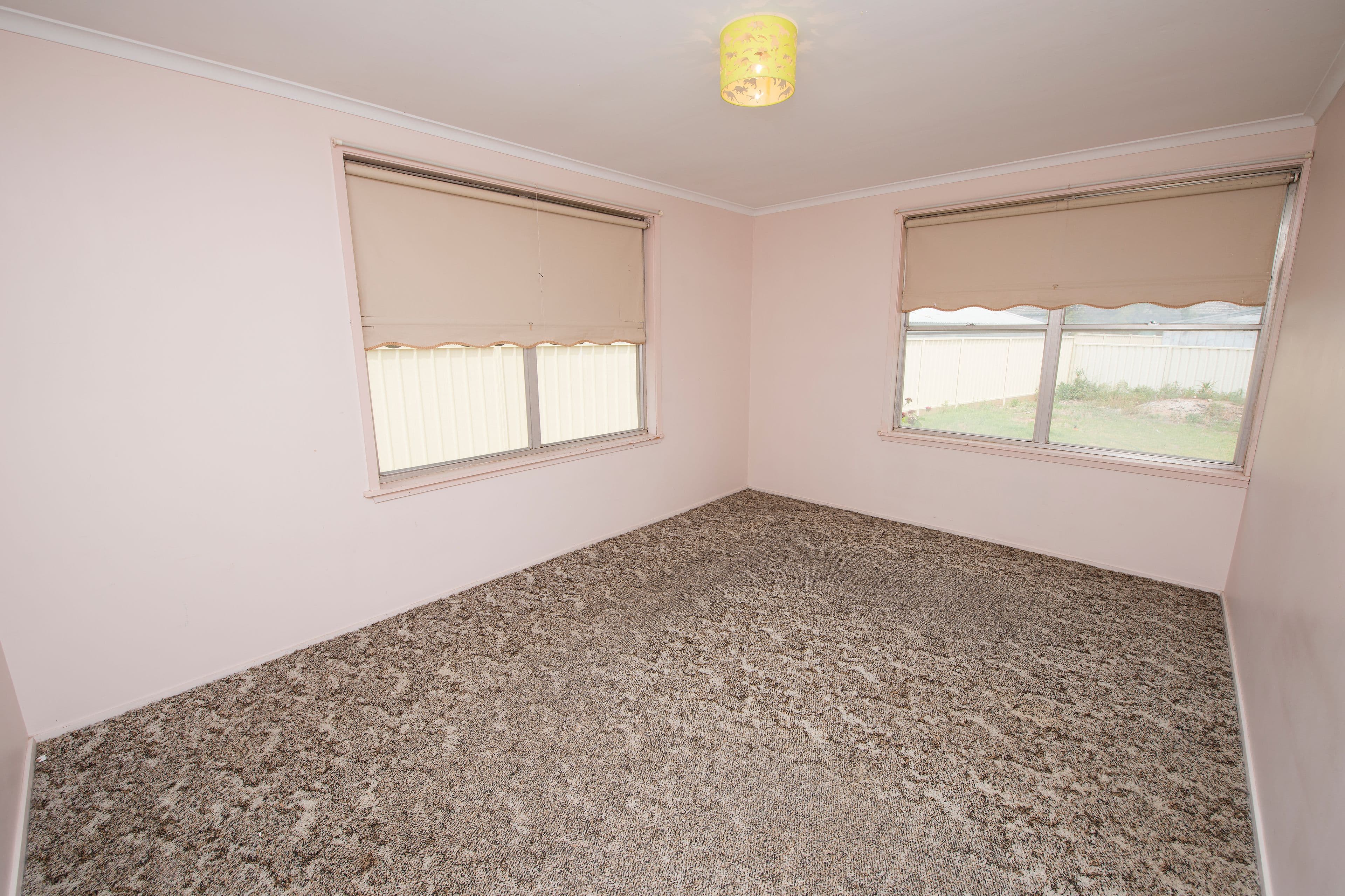 9 Pascoe Street, Swan Hill VIC 3585, Swan Hill - Thumbnail 4
