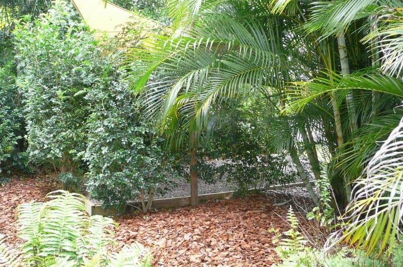 11 Conway Court, BLI BLI QLD 4560, Bli Bli - Thumbnail 3