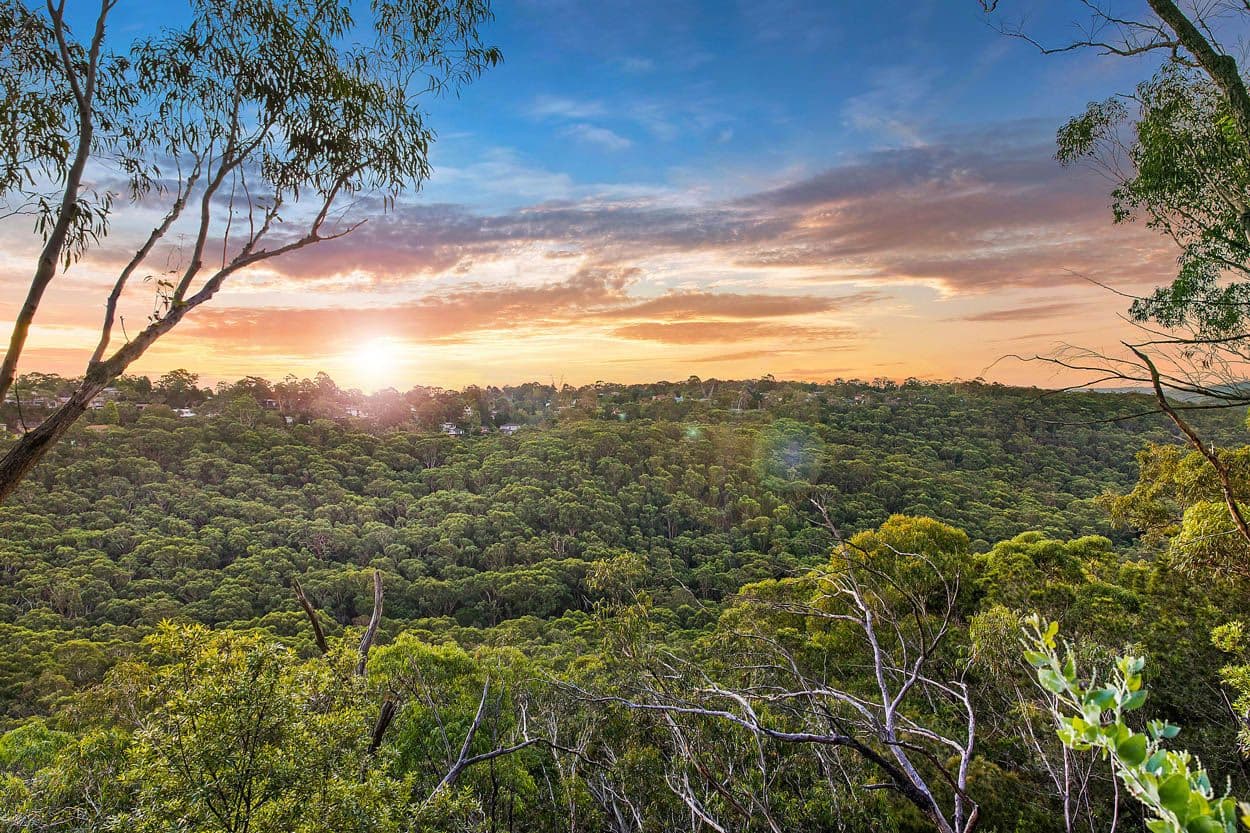 68 Richmond Avenue, St Ives NSW 2075, St Ives - Thumbnail 8