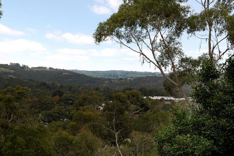 50 Ferguson Street, UPWEY VIC 3158, Upwey - Thumbnail 5