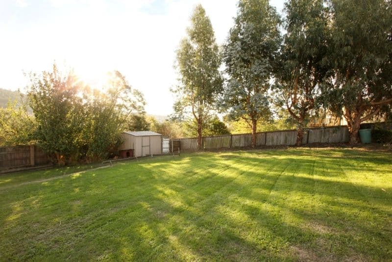 8 Westbury Road, SOUTH LAUNCESTON TAS 7249, South Launceston - Thumbnail 4