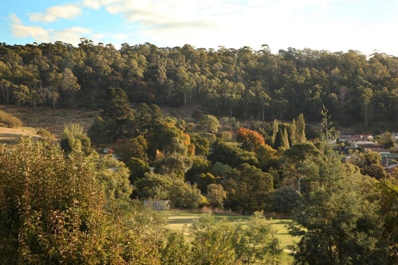 8 Westbury Road, SOUTH LAUNCESTON TAS 7249, South Launceston - Thumbnail 5