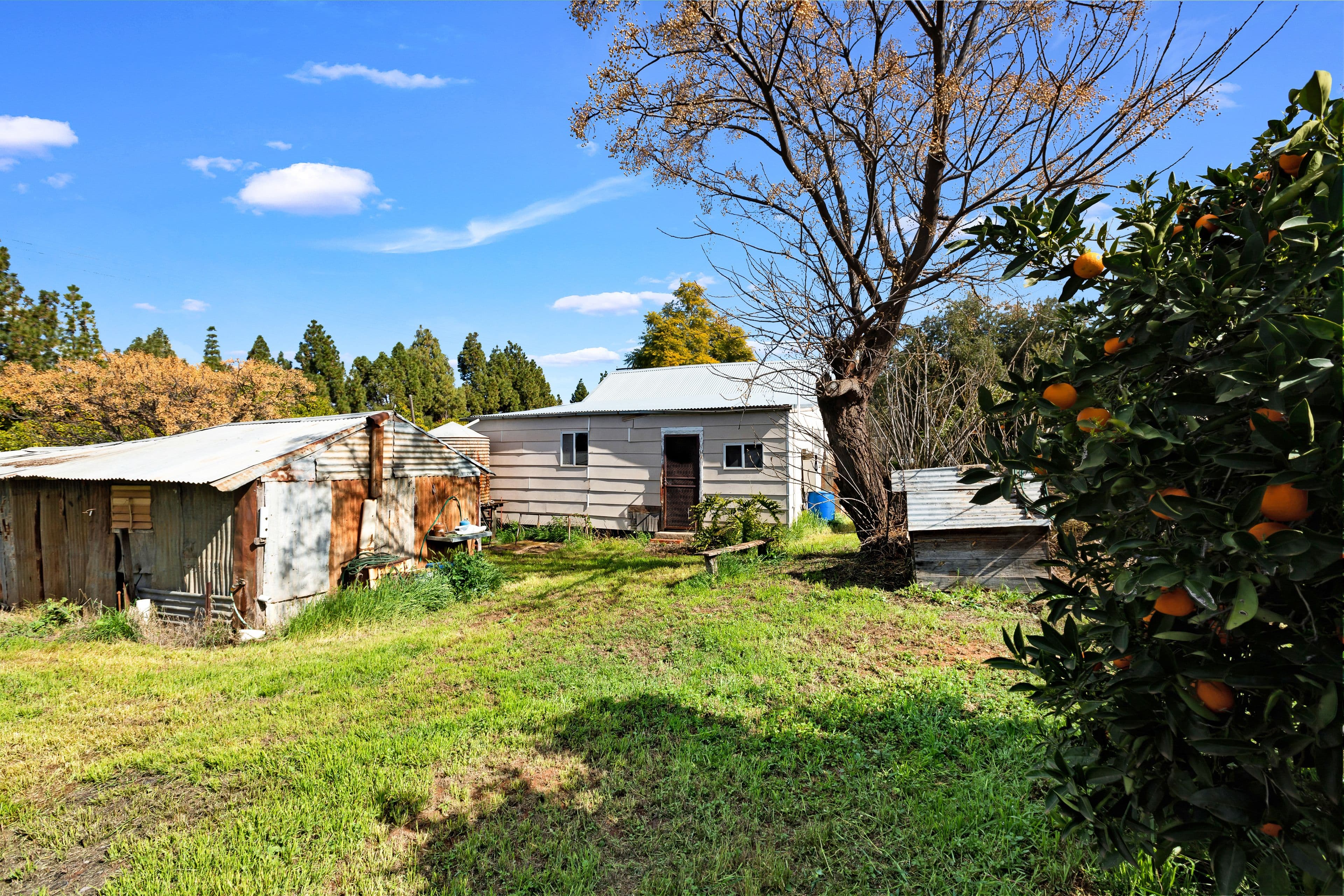 11 Gum Street, Red Cliffs VIC 3496, Red Cliffs - Thumbnail 4