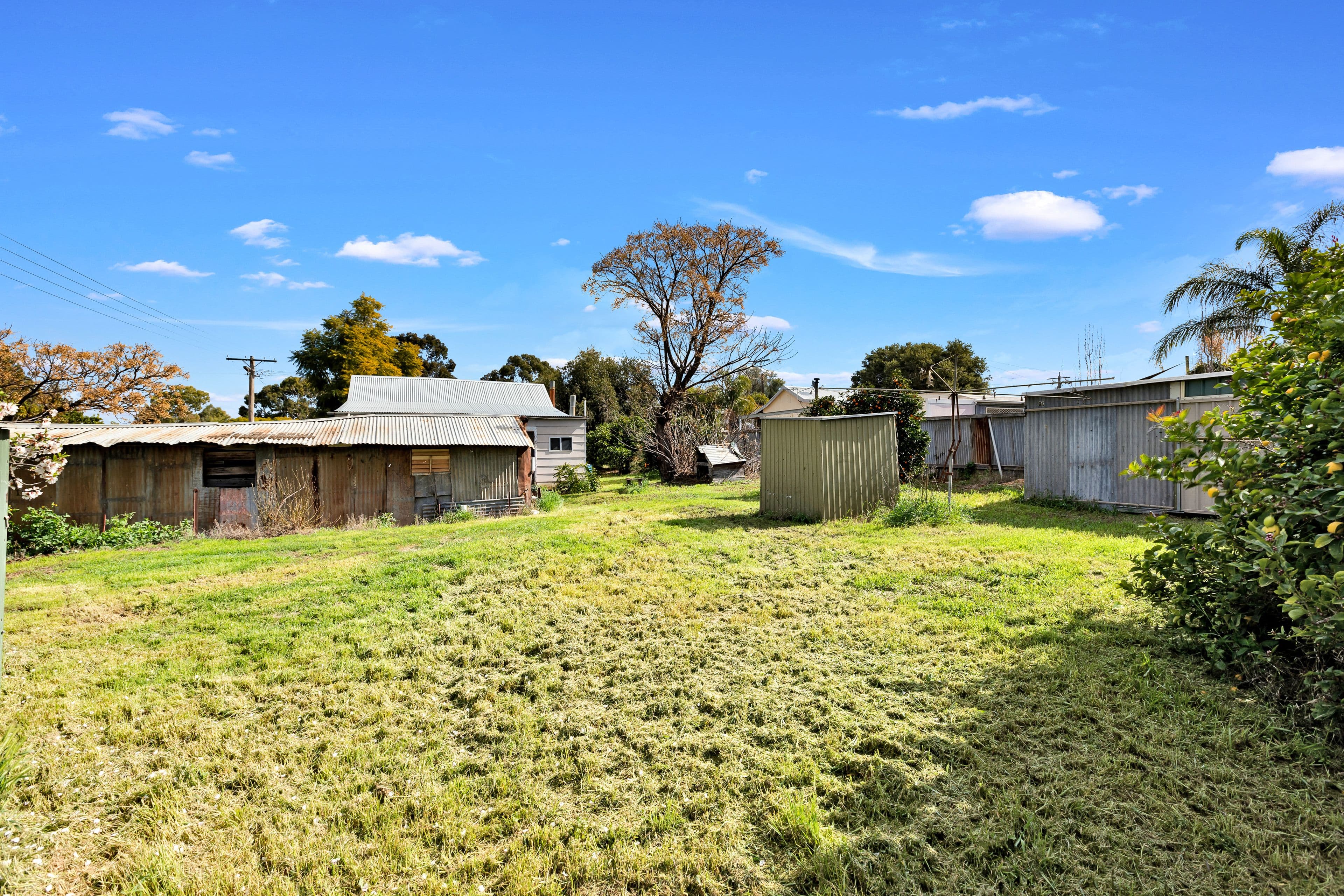 11 Gum Street, Red Cliffs VIC 3496, Red Cliffs - Thumbnail 5