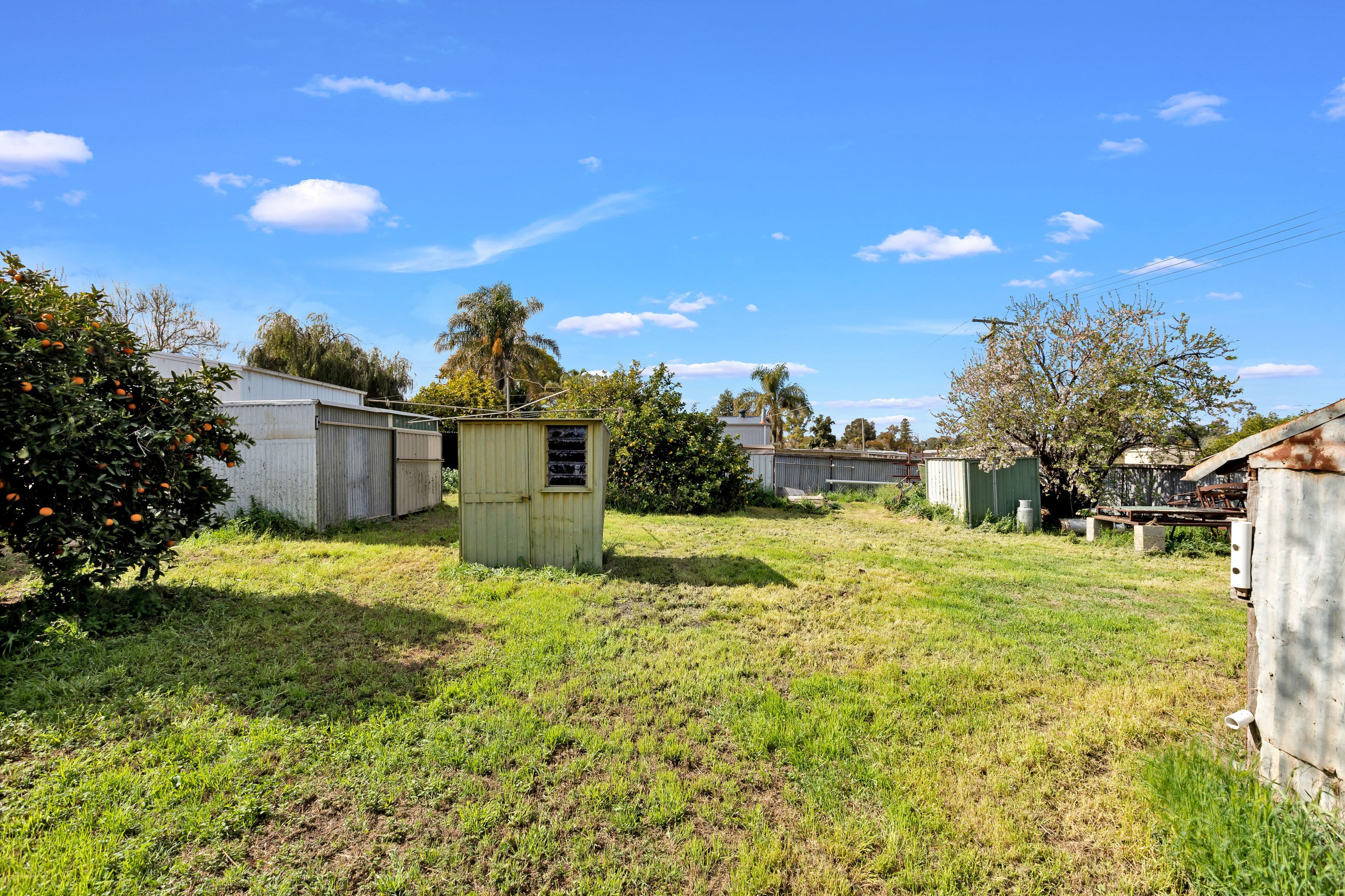 11 Gum Street, Red Cliffs VIC 3496, Red Cliffs - Thumbnail 6