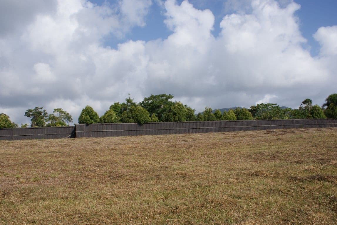 Lot 175 Shelley Court, Mission Beach QLD 4852, Mission Beach - Thumbnail 2