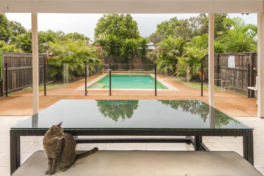 12 Long Street, Hendra QLD 4011, Hendra - Thumbnail 7